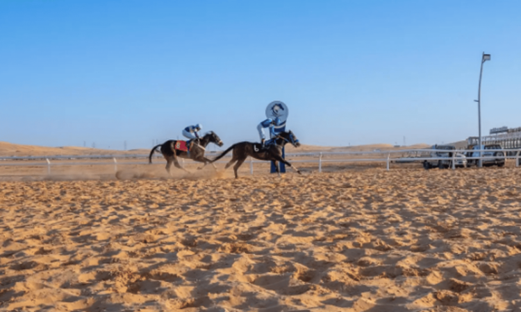 "البيذخ" بطل الحفل الثاني لسباقات موسم الفروسية بالجوف