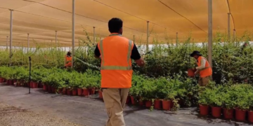 "بيئة الباحة" توقّع مشروع إنشاء مشتل لأشجار الزينة والأشجار البرية بالمنطقة