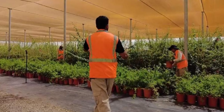 "بيئة الباحة" توقّع مشروع إنشاء مشتل لأشجار الزينة والأشجار البرية بالمنطقة