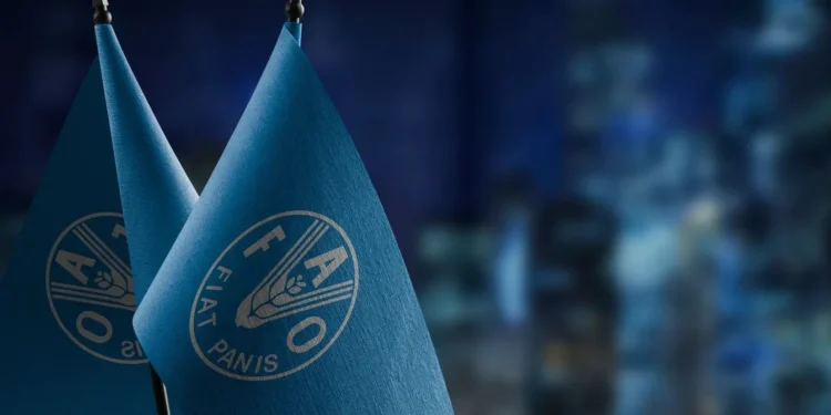 أسعار الغذاء العالمية ترتفع لأعلى مستوى في 18 شهرا