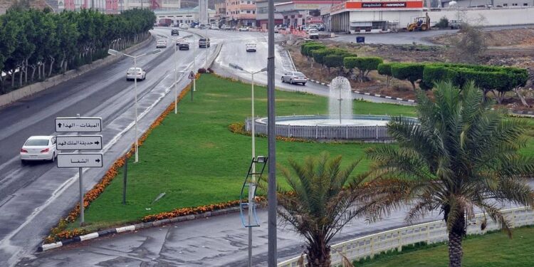 أمانة الطائف تجهز أكثر من 200 حديقة عامة لاستقبال الزوار في الإجازة
