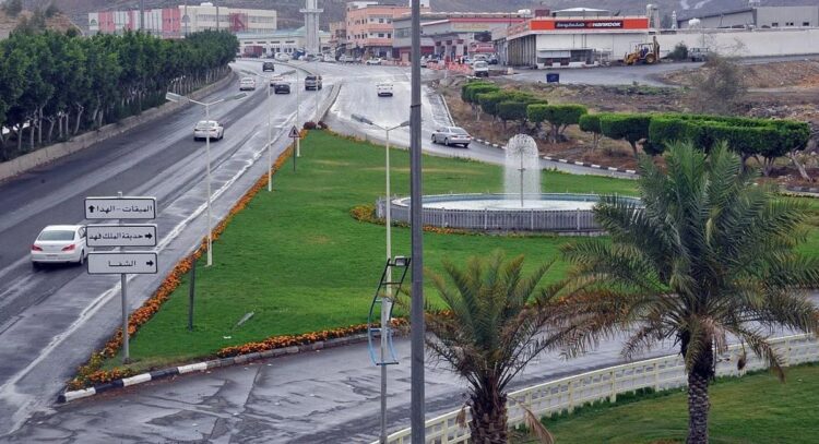 أمانة الطائف تجهز أكثر من 200 حديقة عامة لاستقبال الزوار في الإجازة