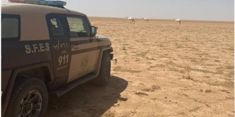 «الأمن البيئي» تضبط مخالفين لنظام البيئة بالمنطقة الشرقية ومحمية «عبدالعزيز الملكية»
