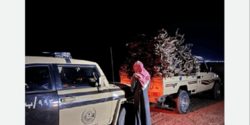 «الأمن البيئي» تضبط مخالفًا لنظام البيئة لنقله حطبًا محليًا في محمية الإمام تركي الملكية