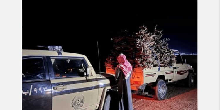 «الأمن البيئي» تضبط مخالفًا لنظام البيئة لنقله حطبًا محليًا في محمية الإمام تركي الملكية