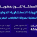 المملكة تفوز بعضوية الهيئة الاستشارية الدولية المعنية بمرونة الكابلات البحرية