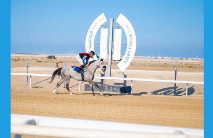 انطلاق أول سباقات ميدان فروسية الجبيل لموسم 1446