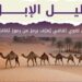 تزامنًا مع «عام الإبل».. «سلمان العالمي للغة العربية» يُطلق «دليل الإبل»