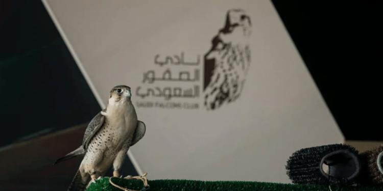 تنافس مثير بين الصقارين في منافسات اليوم السادس من كأس نادي الصقور