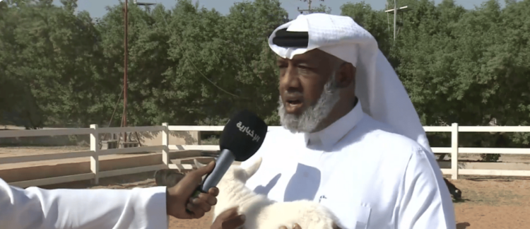 رئيس رابطة هجر للماعز يحدد معايير تقييم أسعاره