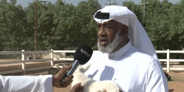 رئيس رابطة هجر للماعز يحدد معايير تقييم أسعاره