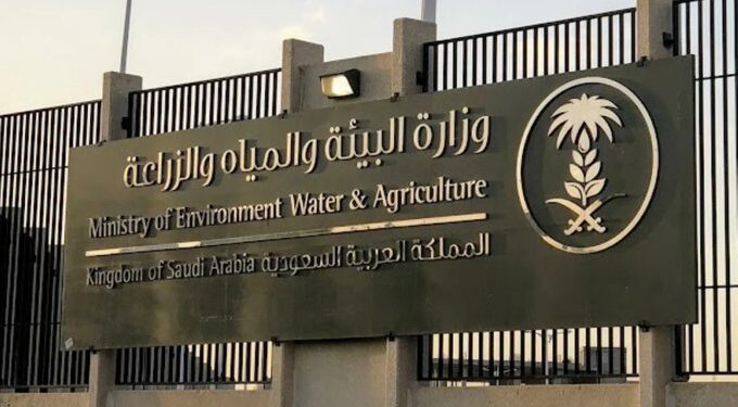 غرامات تصل لـ 5 ملايين والإبعاد لمخالفي نظام البيئة