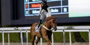 نادي سباقات الخيل ينظّم الأسبوع السابع من موسم سباقات الرياض