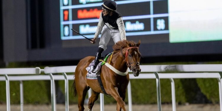 نادي سباقات الخيل ينظّم الأسبوع السابع من موسم سباقات الرياض