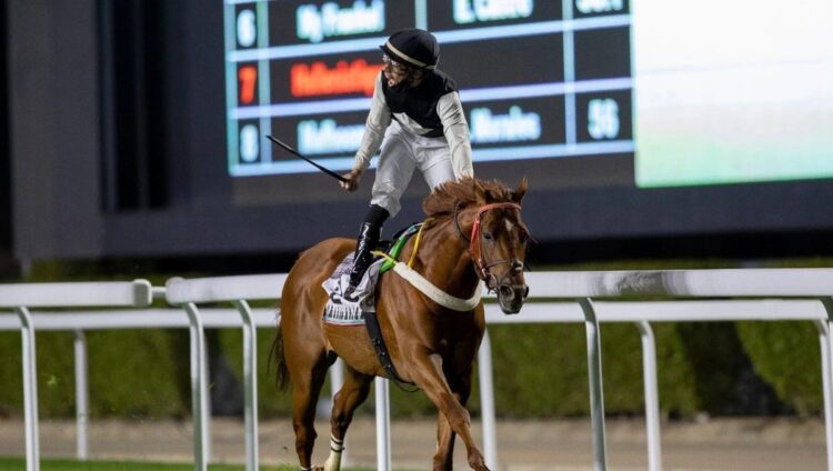 نادي سباقات الخيل ينظّم الأسبوع السابع من موسم سباقات الرياض