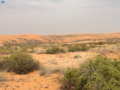 'نفود أم أذن'.. جمال الطبيعة وسحر التاريخ