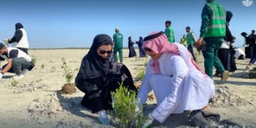 واجهة القطيف البحرية تتزين بالمانجروف