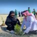 واجهة القطيف البحرية تتزين بالمانجروف