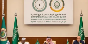 وزير الخارجية: السلام الدائم يبدأ بحل الدولتين
