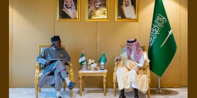 وزير الخارجية يبحث مع نظيره النيجيري القضايا الإقليمية والدولية ذات الاهتمام المشترك