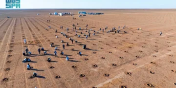 120 متطوعًا يزرعون 2000 شتلة في محمية الملك عبدالعزيز الملكية ضمن مبادرة “لتنمو”