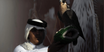 182 صقارًا من الهواة يتنافسون في اليوم الرابع لمهرجان الملك عبدالعزيز للصقور 2024
