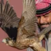 182 صقارًا من الهواة السعوديين يتنافسون في اليوم الرابع لمهرجان الملك عبدالعزيز للصقور 2024