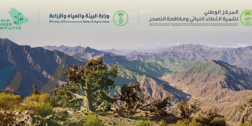 "الغطاء النباتي": بدء استقبال طلبات الاستثمار الموسمي في متنزهات منطقة جازان