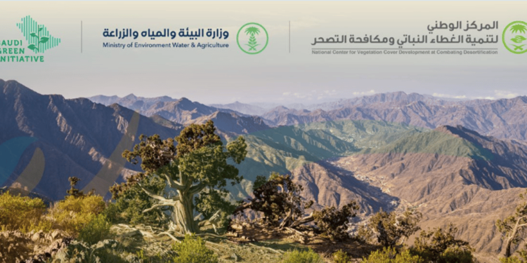 "الغطاء النباتي": بدء استقبال طلبات الاستثمار الموسمي في متنزهات منطقة جازان
