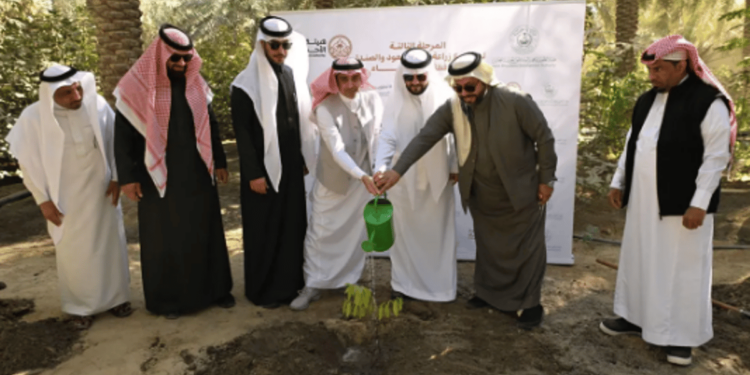 "بيئة الأحساء" تدشن زراعة أشجار العود والصندل في المحافظة