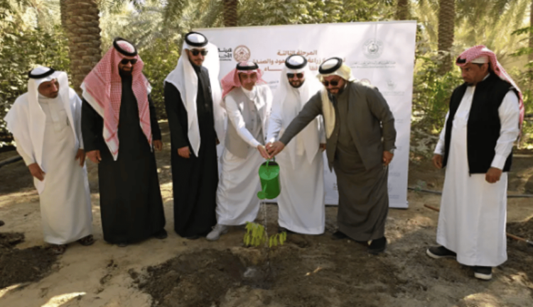 "بيئة الأحساء" تدشن زراعة أشجار العود والصندل في المحافظة
