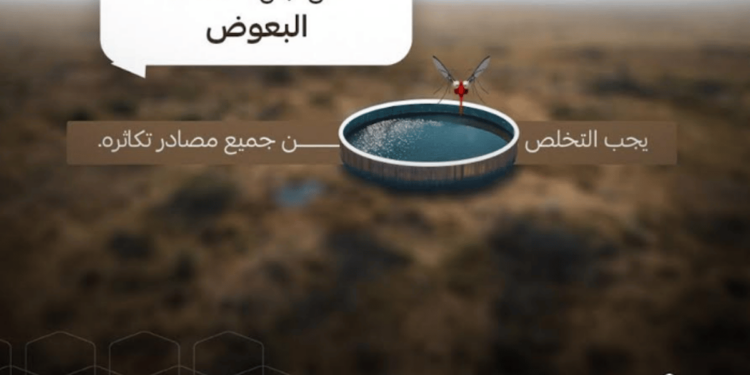 أمانة العاصمة المقدسة تباشر 557 بلاغًا لمكافحة البعوض الناقل لحمى الضنك