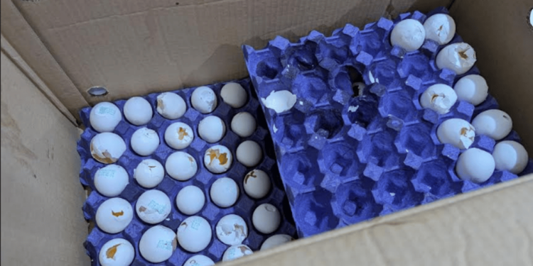 أمانة جدة تضبط معمل مخبوزات وتصادر 1.9 طن من المواد الغذائية الفاسدة