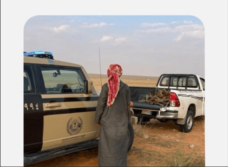 الأمن البيئي يضبط مواطنين لارتكابهما مخالفتي التخييم ونقل الحطب في المحميات الملكية