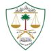 التحول الرقمي والحوكمة في ديوان المظالم يرفع نسبة رضا المستفيدين إلى 93%