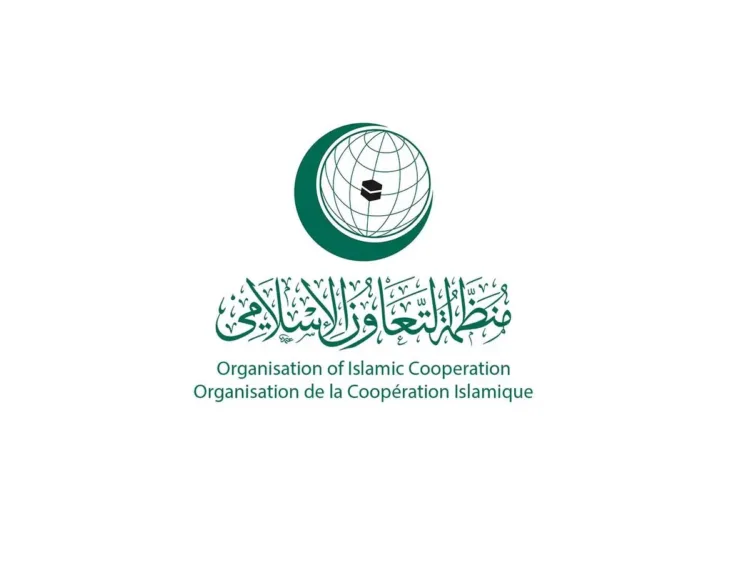 «التعاون الإسلامي» تدين العدوان الإسرائيلي على سوريا