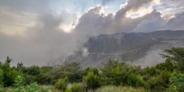 الضباب يرسم لوحة فنية ساحرة بالباحة