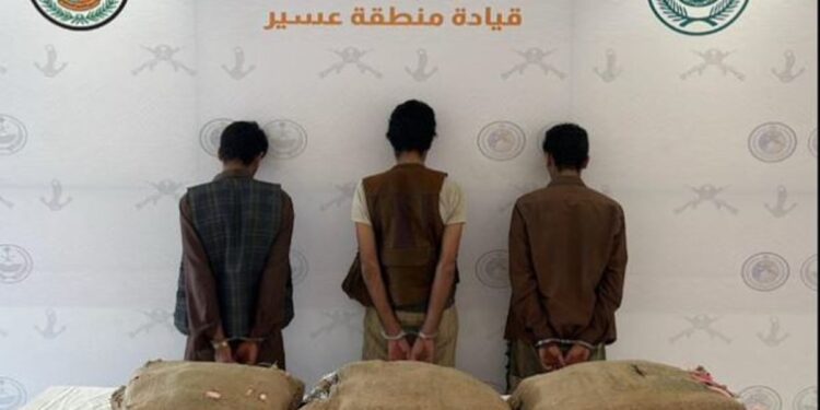 القبض على 3 مخالفين بمنطقة عسير لتهريبهم 75 كيلوجرامًا من نبات القات