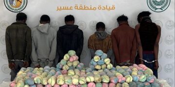 القبض على 6 مخالفين بمنطقة عسير لتهريبهم 210 كيلوجرامات من نبات القات