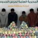 القبض على 6 مخالفين بمنطقة عسير لتهريبهم 210 كيلوجرامات من نبات القات