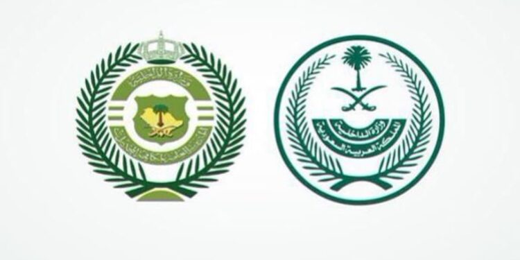 القبض على شخصين بمنطقة عسير لترويجهما مادة الحشيش والأقراص المخدرة بمنطقة عسير