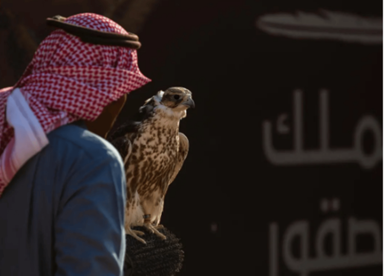 المحترفون المحليون يتنافسون في ثاني أيام مهرجان الملك عبدالعزيز للصقور