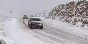 باحث في شؤون الطقس: موجة باردة جديدة تؤثر على المملكة الأسبوع المقبل