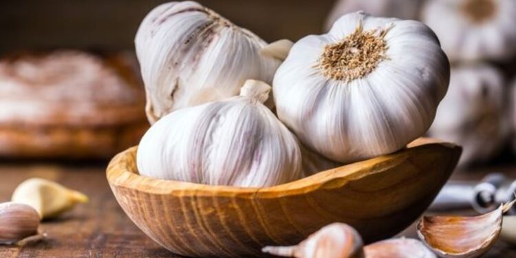 بالفيديو.. مختصة تكشف أهمية تناول فصوص الثوم يوميًا على الريق وفوائده الصحية