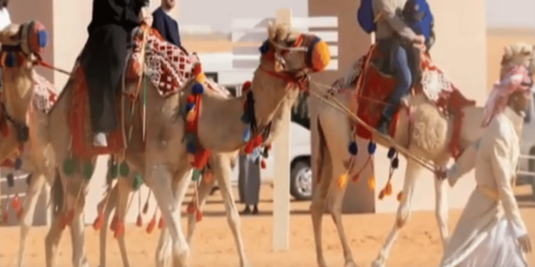 تجربة «الزي السعودي» تجذب السياح بمهرجان الملك عبدالعزيز للإبل
