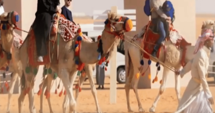 تجربة «الزي السعودي» تجذب السياح بمهرجان الملك عبدالعزيز للإبل