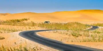 تشجير أكبر صحراء للرمال المتحركة في الصين بحزام أخضر على امتداد 3000 كم