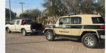 ضبط مخالف لنظام البيئة في القصيم بحوزته حطب محلي معروض للبيع