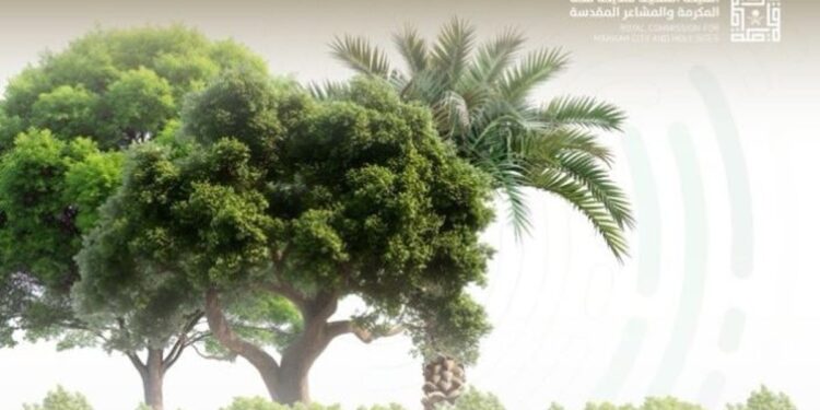 لتعزيز المسؤولية البيئية.. الهيئة الملكية لمدينة مكة المكرمة تطلق مسابقة «بصمتي الخضراء»