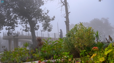 لوحة جمالية يرسمها الضباب في الباحة